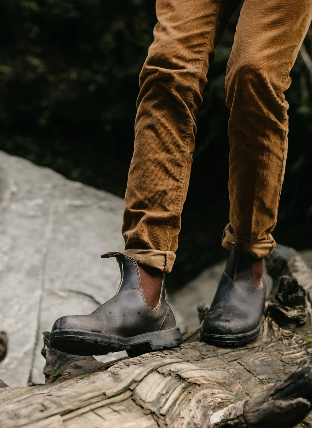 Blundstone Original 500 Chelsea Boots - Stout Brown