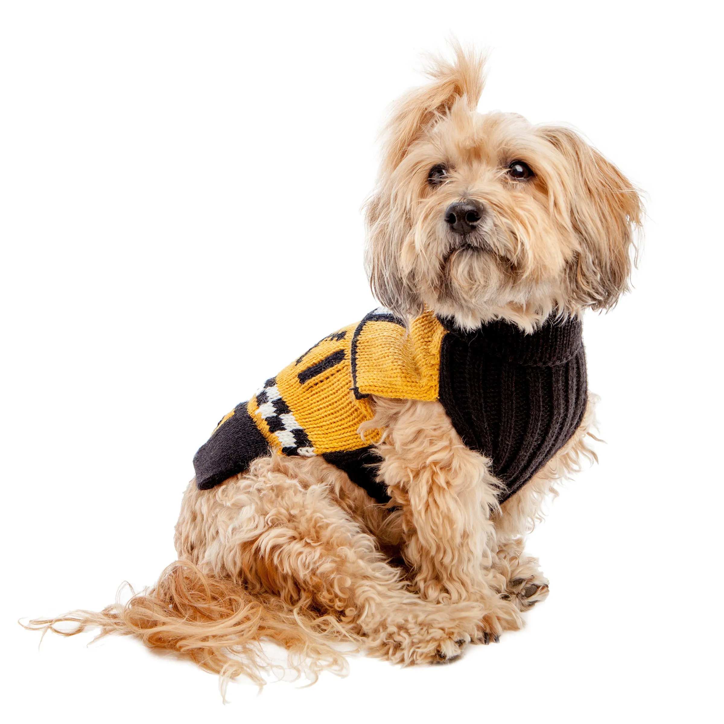 NYC Taxi Handknit Dog Sweater (Dog & Co. Exclusive)