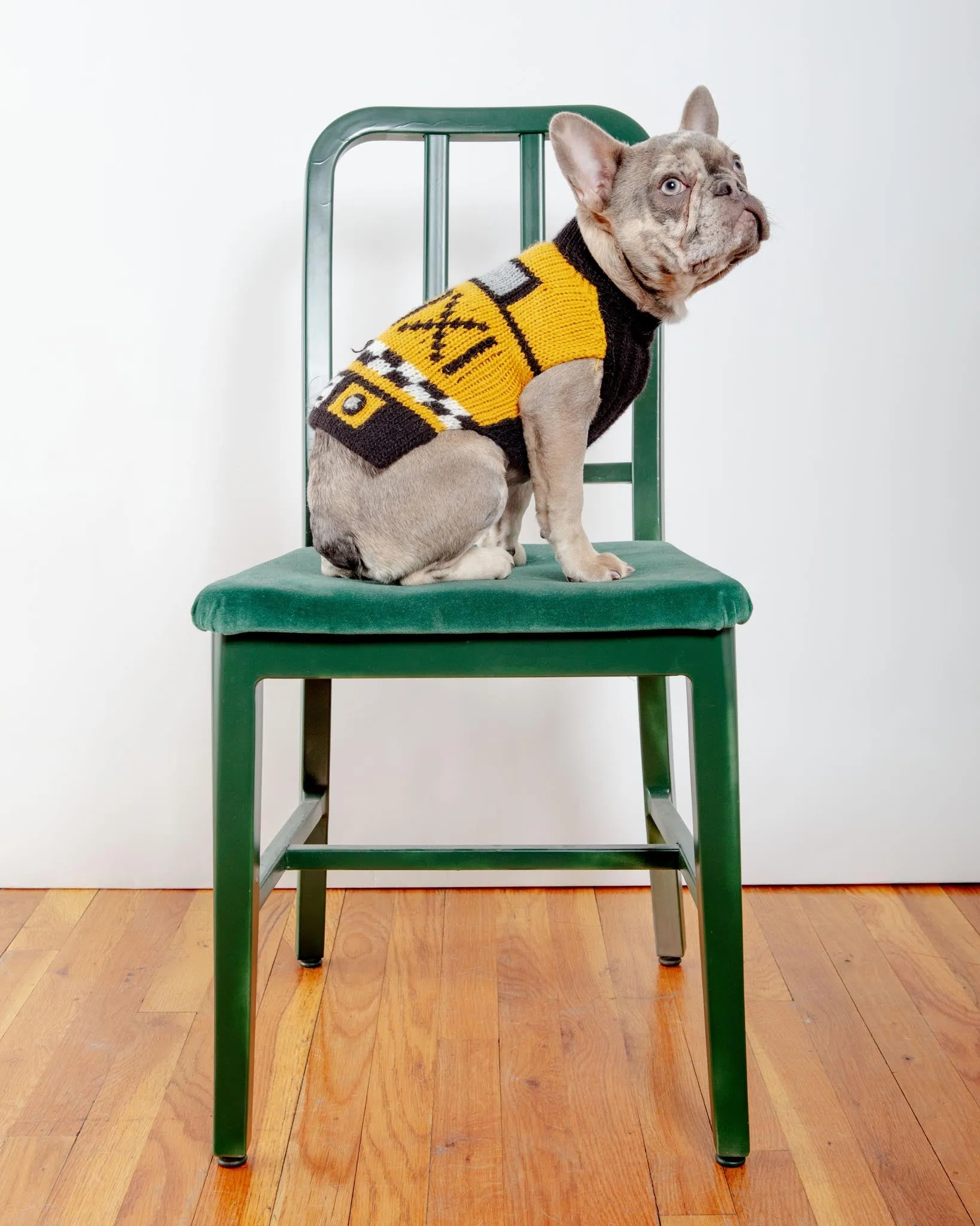 NYC Taxi Handknit Dog Sweater (Dog & Co. Exclusive)